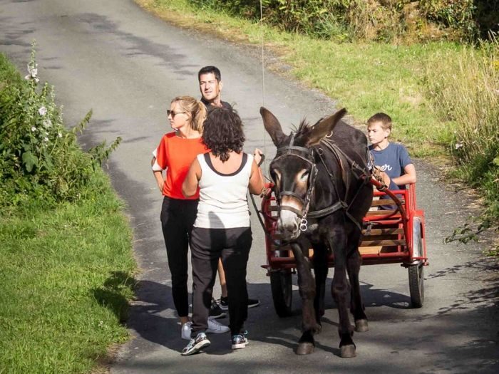 Balade avec les ânes du domaine